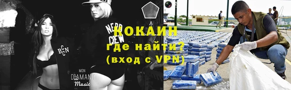 стаф Осинники