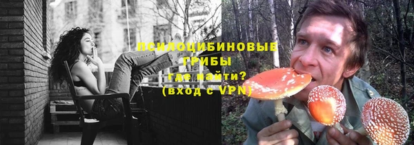 стаф Осинники