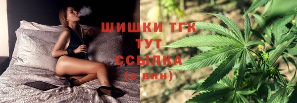 стаф Осинники