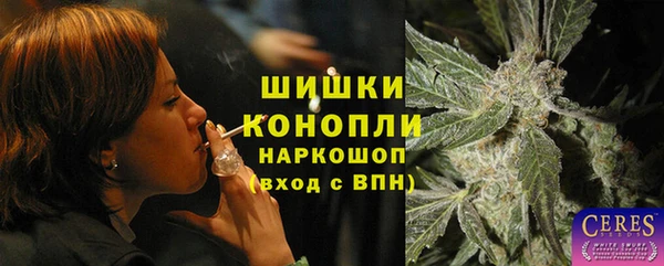 стаф Осинники