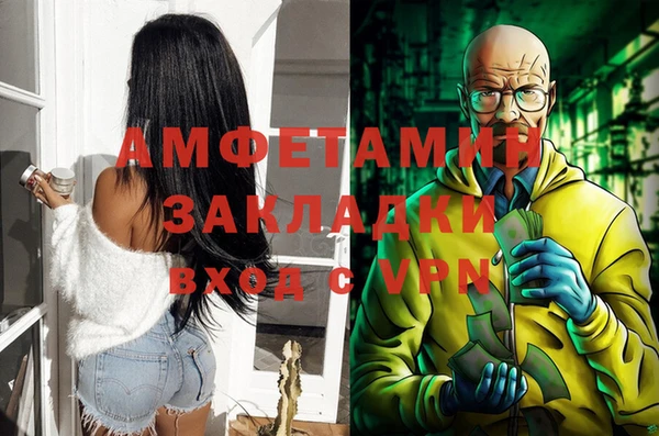 стаф Осинники