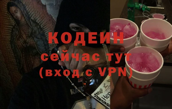 стаф Осинники