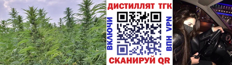 Дистиллят ТГК THC oil  Полысаево 
