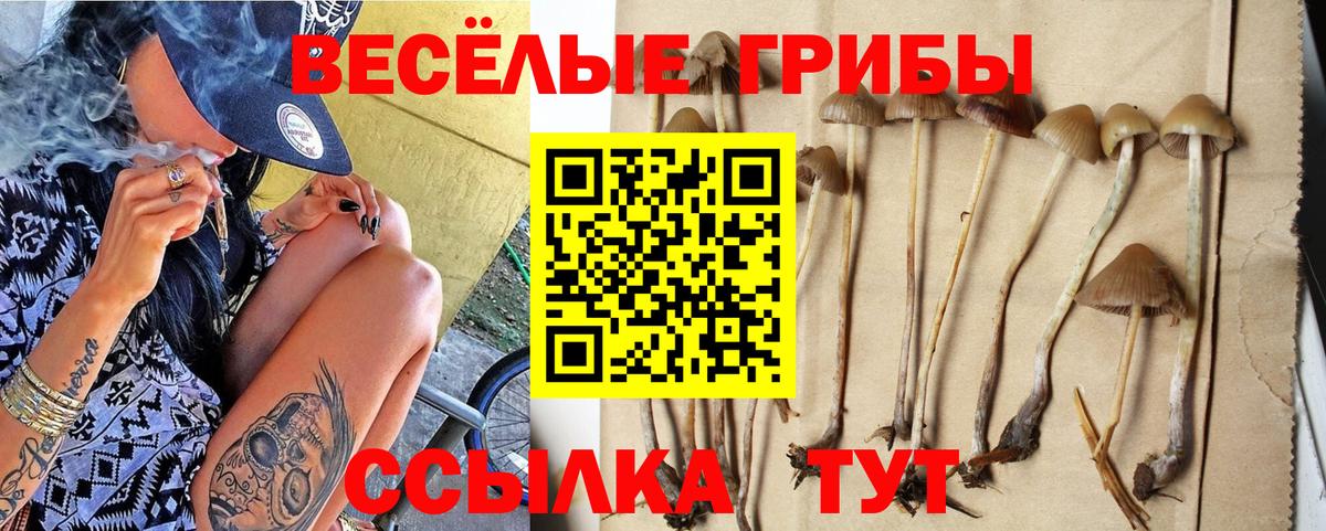 Галлюциногенные грибы GOLDEN TEACHER Полысаево